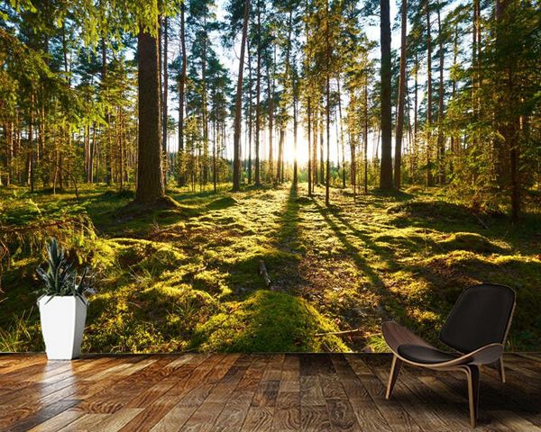 wallpapers papel de parede pine forest and sunrise natural landscape 3d wallpaper,living room tv wall bedroom papers home decor murals
wallpapers papel de parede pine forest and sunrise natural landscape 3d wallpaper,living room tv wall bedroom papers home decor murals
