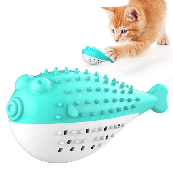 cat toys arrival good quality catnip toothbrush squeak cleaning kitten toy for interactive
cat toys arrival good quality catnip toothbrush squeak cleaning kitten toy for interactive