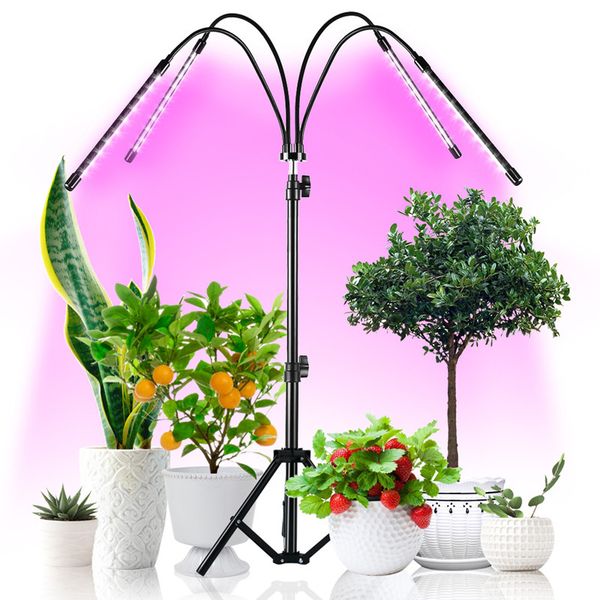 4 head led grow light with tripod stand for indoor plants full spectrum floor growing lamp updraded controllers 3/6/12h timer
4 head led grow light with tripod stand for indoor plants full spectrum floor growing lamp updraded controllers 3/6/12h timer