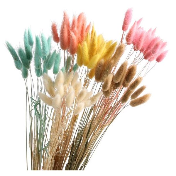 decorative flowers & wreaths 20pcs/lot garden tail grass natural dried bouquet wedding home easter decorations real
decorative flowers & wreaths 20pcs/lot garden tail grass natural dried bouquet wedding home easter decorations real