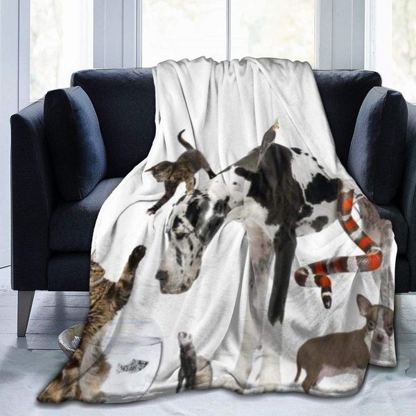 throw blanket for kids teens adults soft warm pets cute dalmatian cat dog snake parrot fish animal world microfiber all season
throw blanket for kids teens adults soft warm pets cute dalmatian cat dog snake parrot fish animal world microfiber all season