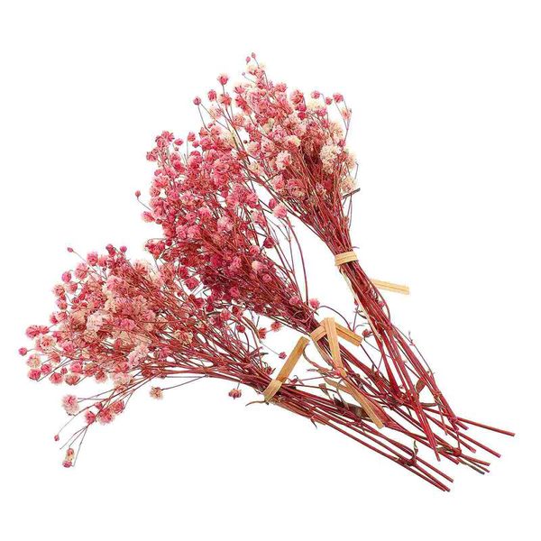 decorative flowers & wreaths 3 bunches dried bouquet gypsophila branches pography props home decor
decorative flowers & wreaths 3 bunches dried bouquet gypsophila branches pography props home decor