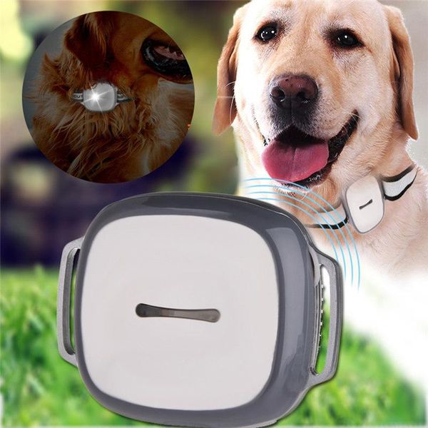 pet tracker led light and collar 2021 multi function dogs collars three-mode positioning electronic fence track playback dog & leashes
pet tracker led light and collar 2021 multi function dogs collars three-mode positioning electronic fence track playback dog & leashes