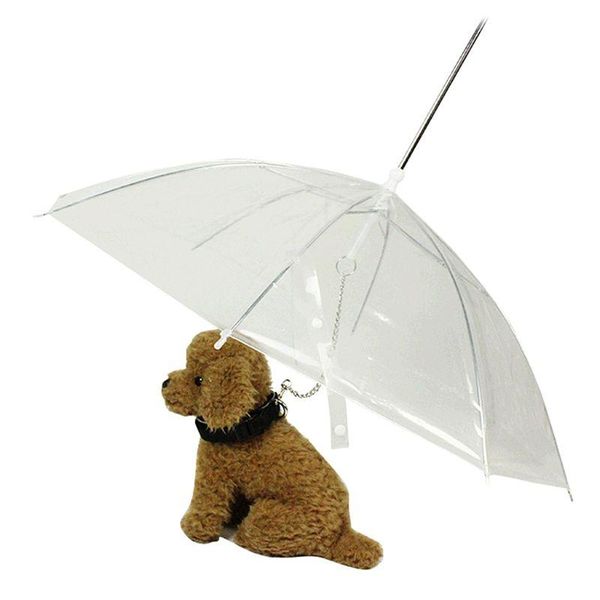 portable transparent walking small dog cat pet umbrella with chain keep dry in rain outdoor gear tool apparel
portable transparent walking small dog cat pet umbrella with chain keep dry in rain outdoor gear tool apparel
