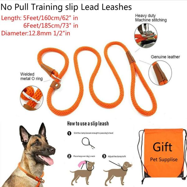 durable slip rope dog leash collar 2 in 1 adjustable loop comfortable small meidum large pet harness supplies collars & leashes
durable slip rope dog leash collar 2 in 1 adjustable loop comfortable small meidum large pet harness supplies collars & leashes