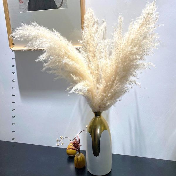 decorative flowers & wreaths 5pcs natural dried big pampas grass phragmites wedding ceremony home reed plants valentine's day party dec
decorative flowers & wreaths 5pcs natural dried big pampas grass phragmites wedding ceremony home reed plants valentine's day party dec