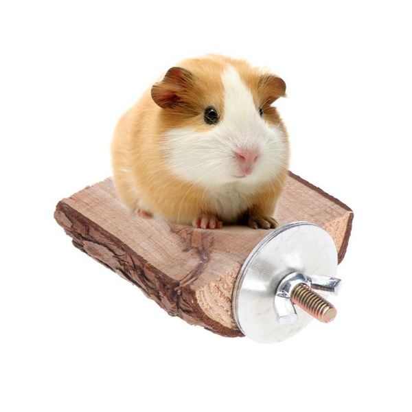 other bird supplies 2021 parrot perch wooden stand holder platform squirrel chinchilla hamster rack cage toy accessories birds pet
other bird supplies 2021 parrot perch wooden stand holder platform squirrel chinchilla hamster rack cage toy accessories birds pet
