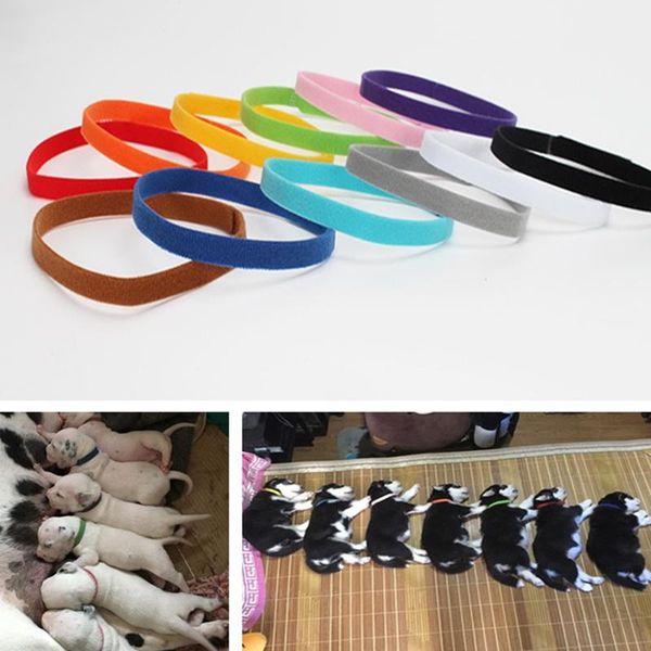 12pcs/set puppy dogs cats identification collar adjustable collars neck strap for pets soft plush distinguish accessories dog & leashes
12pcs/set puppy dogs cats identification collar adjustable collars neck strap for pets soft plush distinguish accessories dog & leashes