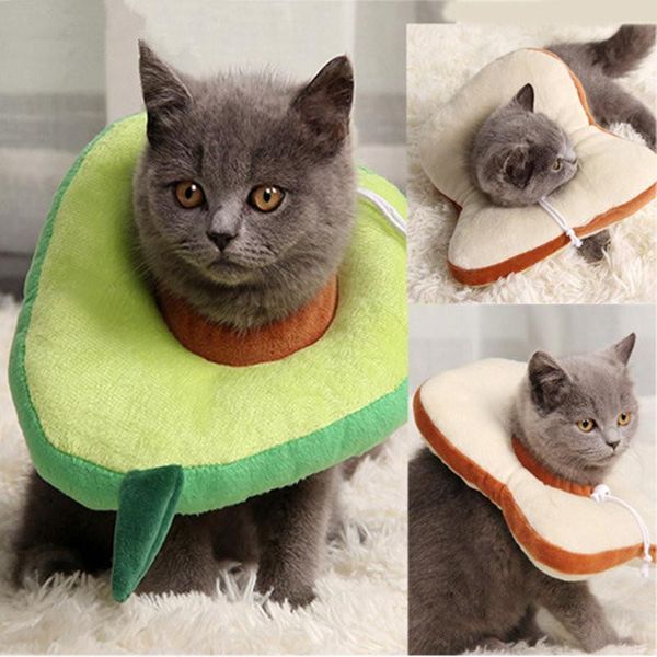 dog collars & leashes pet bread shaped cat collar wound healing scarf protection neck ring for accessories
dog collars & leashes pet bread shaped cat collar wound healing scarf protection neck ring for accessories