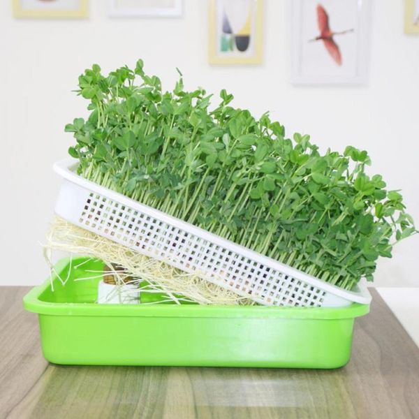 planters & pots bean sprout planting tray household pea seedling plate plants garden moisturizing warm hydroponic keep supplies and nu x9x9
planters & pots bean sprout planting tray household pea seedling plate plants garden moisturizing warm hydroponic keep supplies and nu x9x9