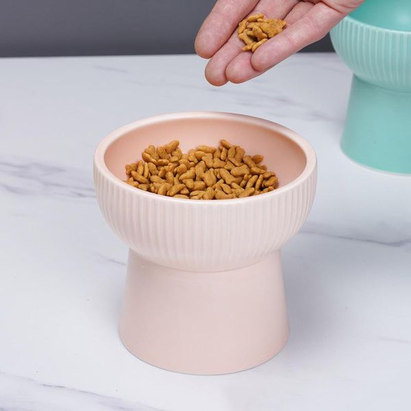 ceramics raised pet bowl for stress less regurgitating and vomiting js22 cat bowls & feeders
ceramics raised pet bowl for stress less regurgitating and vomiting js22 cat bowls & feeders