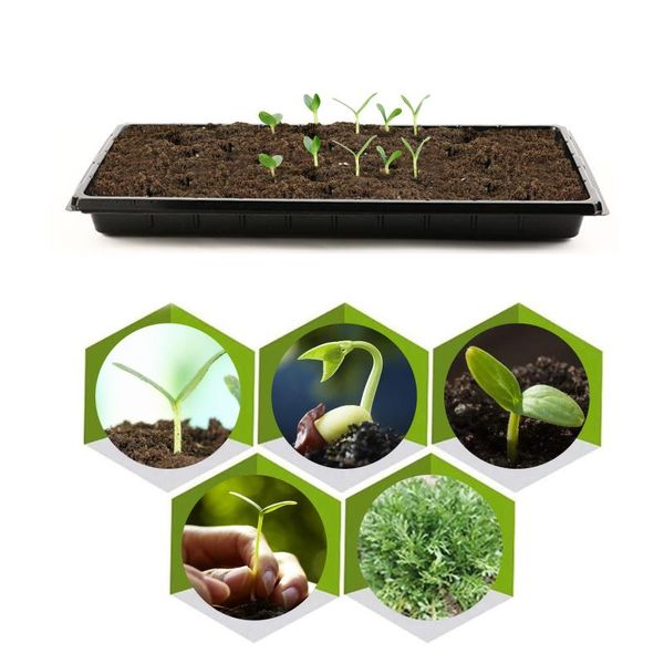 strong seed starting plant growing trays without holes durable reusable gardening tray pot bloempot dienblad planters & pots
strong seed starting plant growing trays without holes durable reusable gardening tray pot bloempot dienblad planters & pots