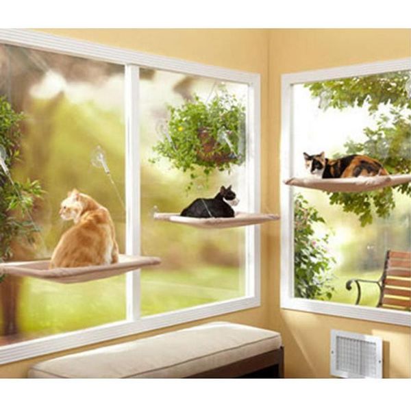 cat beds & furniture warm bed kitty suction cup hanging cushion sunshine hammock window mounted
cat beds & furniture warm bed kitty suction cup hanging cushion sunshine hammock window mounted