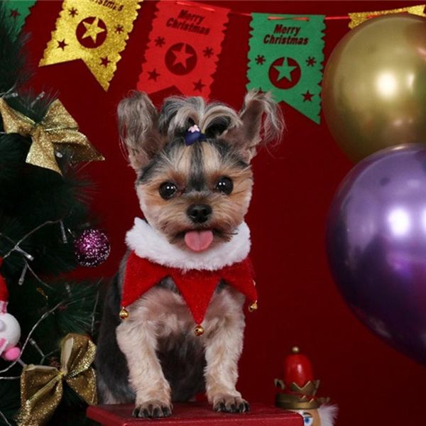 cat costumes christmas pet supplies plush cute puppy collar with bell chihuahua scarf dog accessories
cat costumes christmas pet supplies plush cute puppy collar with bell chihuahua scarf dog accessories