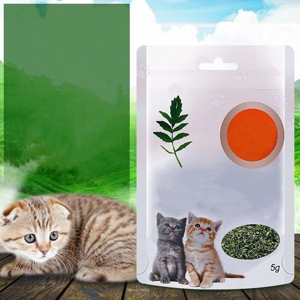 cat toys 1 bag toy organic 100% natural premium catnip cattle grass 5g flavor funny interactive non-toxic
cat toys 1 bag toy organic 100% natural premium catnip cattle grass 5g flavor funny interactive non-toxic