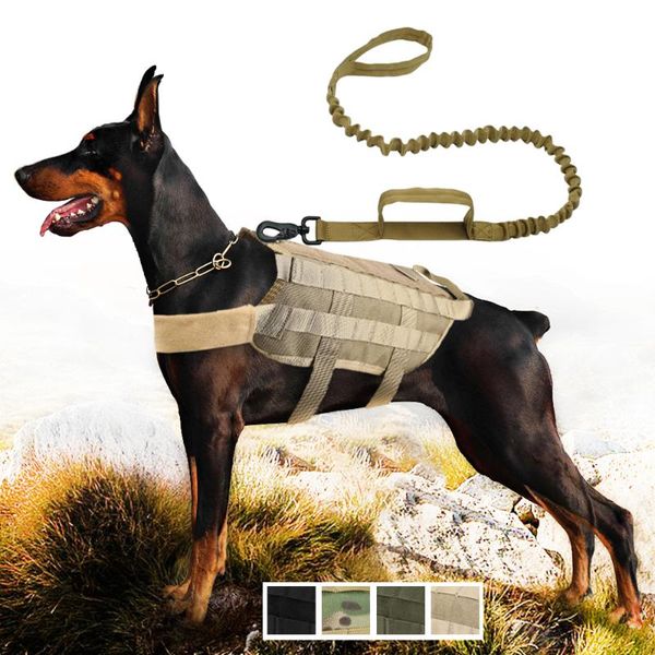 dog collars & leashes 1000d nylon tactical harness service k9 vest camouflage adjustable leash work training set german shepherd
dog collars & leashes 1000d nylon tactical harness service k9 vest camouflage adjustable leash work training set german shepherd