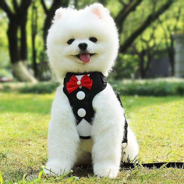 dog collars & leashes pet harness traction rope suit vest-style chest strap polyester breathable heat dissipation small and medium sized
dog collars & leashes pet harness traction rope suit vest-style chest strap polyester breathable heat dissipation small and medium sized