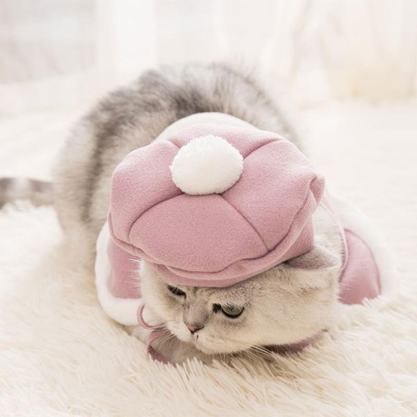 set pet clothes cat cape beret with pompon funny cosplay costume party for dog puppy -size xs costumes
set pet clothes cat cape beret with pompon funny cosplay costume party for dog puppy -size xs costumes