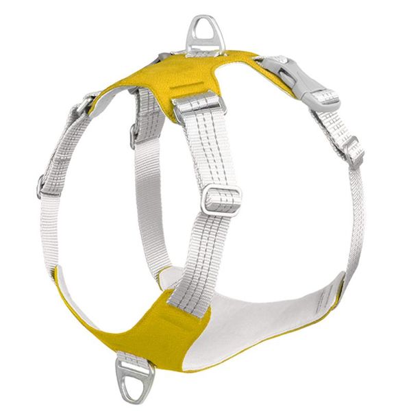 dog collars & leashes portable outdoor running reflective stripe oxford cloth explosion proof protective harness quick release pet vest adju
dog collars & leashes portable outdoor running reflective stripe oxford cloth explosion proof protective harness quick release pet vest adju