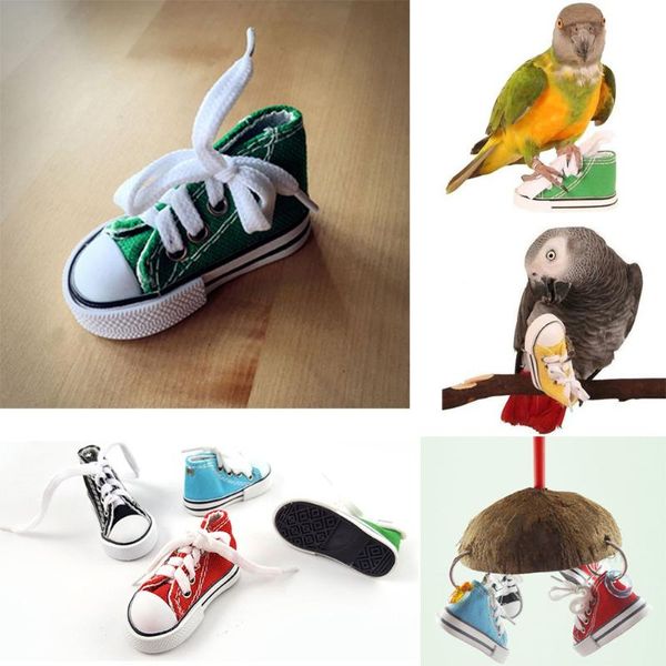 other bird supplies mini canvas shoes toys parrot cage cockatiel hanging foot random color
other bird supplies mini canvas shoes toys parrot cage cockatiel hanging foot random color