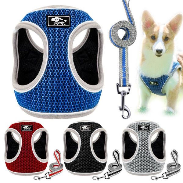 dog collars & leashes nylon harness and leash set reflective breathable step in pet harnesses adjustable for small medium dogs puppy
dog collars & leashes nylon harness and leash set reflective breathable step in pet harnesses adjustable for small medium dogs puppy