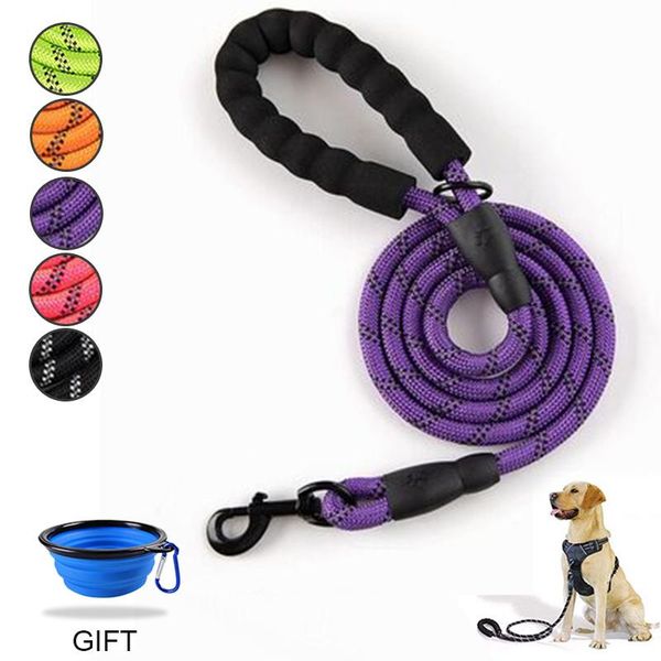 dog leash 5 ft heavy duty - comfortable padded handle reflective for medium large dogs with collapsible pet bowl collars & leashes
dog leash 5 ft heavy duty - comfortable padded handle reflective for medium large dogs with collapsible pet bowl collars & leashes
