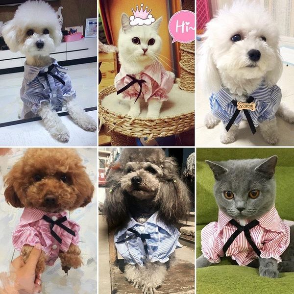 dog apparel pet cat spring and summer thin shirt teddy hiromi bichon small cute skirt volume_up content_copy share
dog apparel pet cat spring and summer thin shirt teddy hiromi bichon small cute skirt volume_up content_copy share
