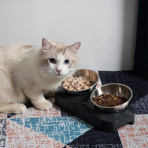 stainless steel double bowls adjustable non-slip easy to clean pet cat and water for large capacity pets feeding & feeders
stainless steel double bowls adjustable non-slip easy to clean pet cat and water for large capacity pets feeding & feeders