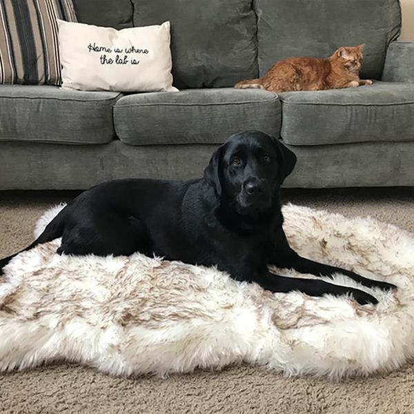 artificial fur dog mat white winter soft warm cozy pet cushion for medium large dogs&cats deep asleep bed puppy blanket kennels & pens
artificial fur dog mat white winter soft warm cozy pet cushion for medium large dogs&cats deep asleep bed puppy blanket kennels & pens