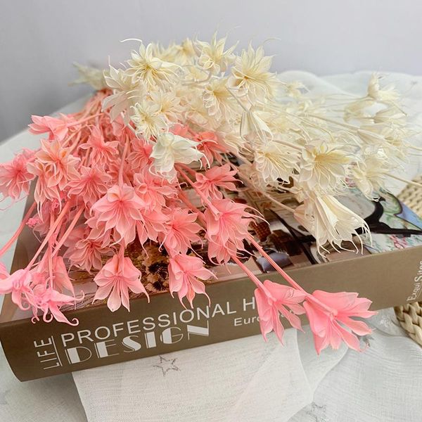 decorative flowers & wreaths dry eternelle star anise flower bouquet dried natural wedding supplies marriage home room decoration floral arr
decorative flowers & wreaths dry eternelle star anise flower bouquet dried natural wedding supplies marriage home room decoration floral arr