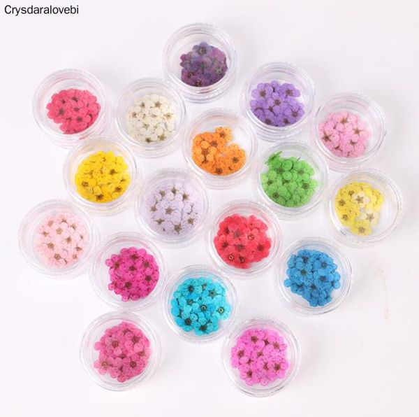 decorative flowers & wreaths 100pcs pressed dried narcissus plum blossom flower with box for epoxy resin jewelry making nail art craft diy a
decorative flowers & wreaths 100pcs pressed dried narcissus plum blossom flower with box for epoxy resin jewelry making nail art craft diy a
