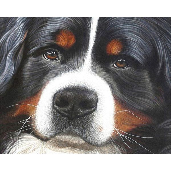 paintings diy digital painting by numbers package black white dog oil mural kits coloring wall art picture gift frameless
paintings diy digital painting by numbers package black white dog oil mural kits coloring wall art picture gift frameless