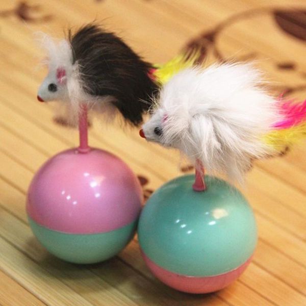 cat toys kids childrens non toxic home plastic portable funny pet supplies mouse durable gift tumbler toy
cat toys kids childrens non toxic home plastic portable funny pet supplies mouse durable gift tumbler toy