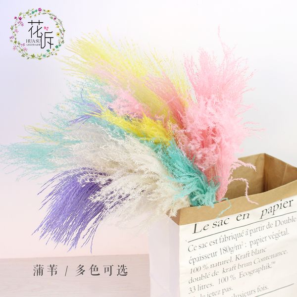 pampas grass decor white pink coor fuffy reed fower wedding fowers natura pants dried fowers bouquet home decor
pampas grass decor white pink coor fuffy reed fower wedding fowers natura pants dried fowers bouquet home decor