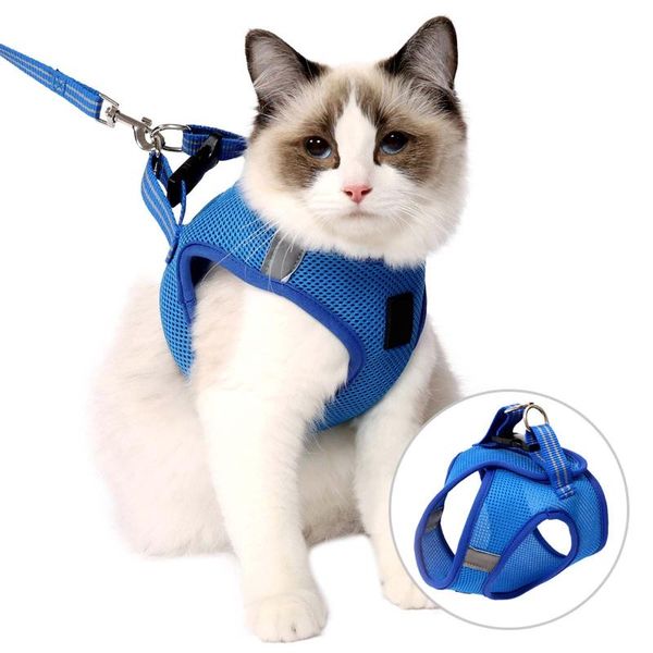 adjustable soft mesh cat vest harness leash set breathable walking light kitten with reflective strap for puppies collars & leads
adjustable soft mesh cat vest harness leash set breathable walking light kitten with reflective strap for puppies collars & leads