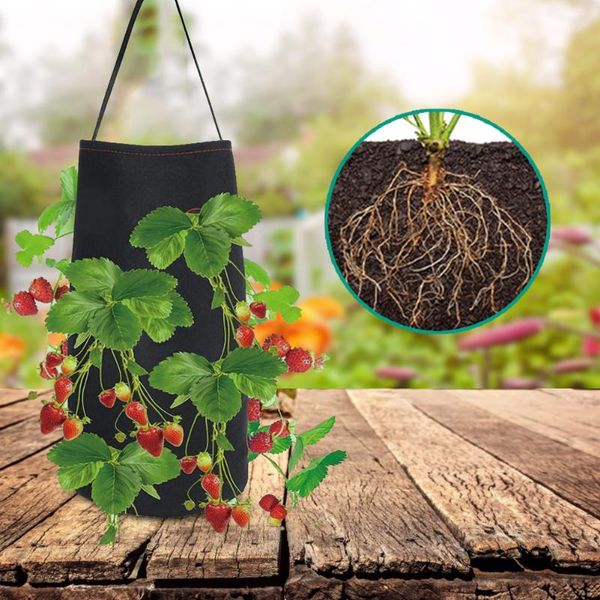 grow container bag diy planter pe fabrics planting vegetable gardening thicken pot garden tool bags planters & pots
grow container bag diy planter pe fabrics planting vegetable gardening thicken pot garden tool bags planters & pots