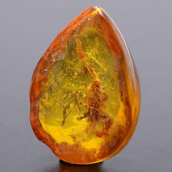 decorative objects & figurines 1pc fashion insects amber scorpions stone ornament originality crafts jewelry diy gift pendant gemstone neckl
decorative objects & figurines 1pc fashion insects amber scorpions stone ornament originality crafts jewelry diy gift pendant gemstone neckl