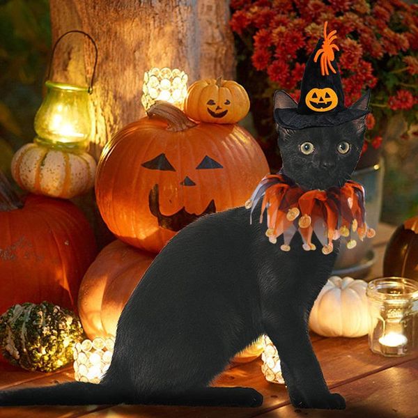 cat costumes halloween pet hat collar set dress up cap fun headdress cosplay accessories for dog l23
cat costumes halloween pet hat collar set dress up cap fun headdress cosplay accessories for dog l23