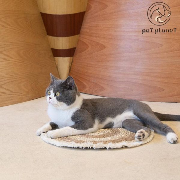 cat beds & furniture woven nest mat pet polymea hand creative four seasons supplies
cat beds & furniture woven nest mat pet polymea hand creative four seasons supplies