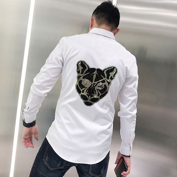 men's t-shirts men's blouse hip-hop black animal street strass thin long sleeves knn8, White;black
men's t-shirts men's blouse hip-hop black animal street strass thin long sleeves knn8, White;black