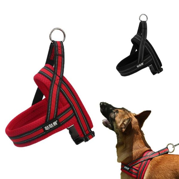 dog collars & leashes luminous harness leash set pet vest lead for small medium large dogs daily nylon harnesses s-xl pets accessories
dog collars & leashes luminous harness leash set pet vest lead for small medium large dogs daily nylon harnesses s-xl pets accessories