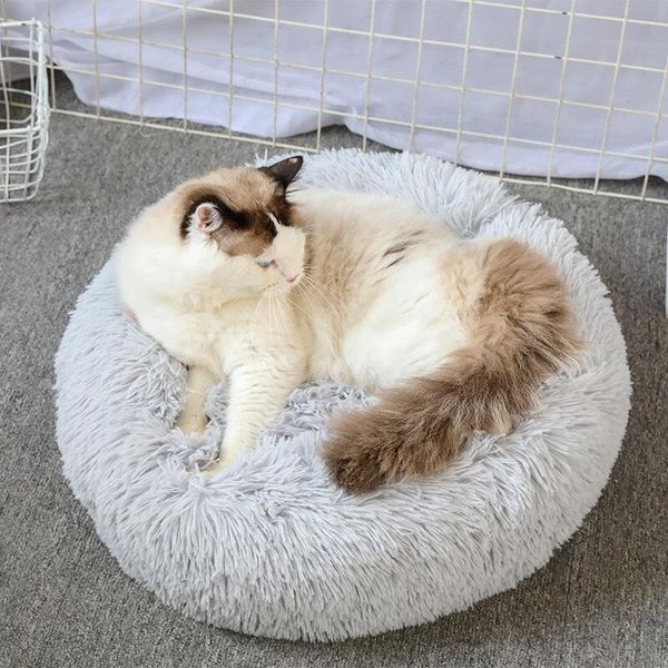 cat beds & furniture super soft long plush warm pet mat cute lightweight kennel sleeping basket bed round fluffy comfortable touch products
cat beds & furniture super soft long plush warm pet mat cute lightweight kennel sleeping basket bed round fluffy comfortable touch products