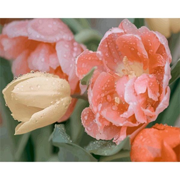 paintings beautiful oil painting flower in vase by numbers paint tulip diy modern canvas picture hand painted home decor gift
paintings beautiful oil painting flower in vase by numbers paint tulip diy modern canvas picture hand painted home decor gift