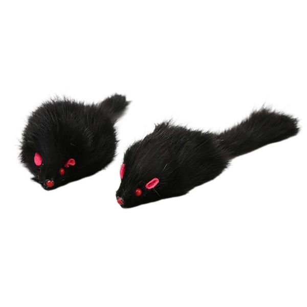 cat toys 5 pieces interactive mice for cats mouse toy funny indoor and kittens gift relieve stress anxiety boredom
cat toys 5 pieces interactive mice for cats mouse toy funny indoor and kittens gift relieve stress anxiety boredom