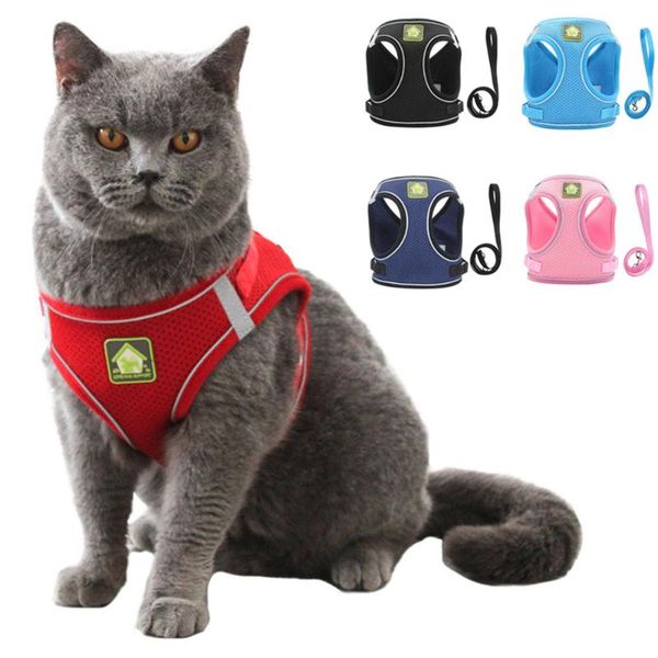 cat collars & leads reflective puppy harness and leash set nylon mesh kitten vest walking for small dogs chihuahua accessories
cat collars & leads reflective puppy harness and leash set nylon mesh kitten vest walking for small dogs chihuahua accessories