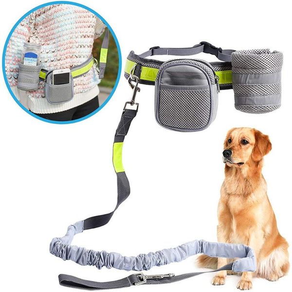 dog collars & leashes leash includes belt bag/case boat holder excellent for training running jogging with your pet walk handsfree
dog collars & leashes leash includes belt bag/case boat holder excellent for training running jogging with your pet walk handsfree