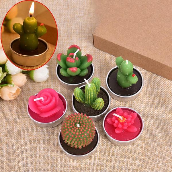 creative 3d mini cactus candles simulated plants smokeless scented candle handmade valentine day gift party home decoration
creative 3d mini cactus candles simulated plants smokeless scented candle handmade valentine day gift party home decoration