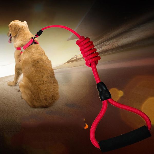 dog collars & leashes pet harness for small large adjustable vest nylon lead leash collar traction rope strap
dog collars & leashes pet harness for small large adjustable vest nylon lead leash collar traction rope strap