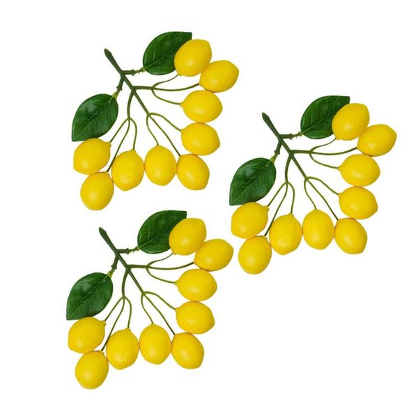 party decoration 3pcs simulation fruit skewers pography prop artificial ornament
party decoration 3pcs simulation fruit skewers pography prop artificial ornament