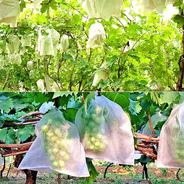 planters & pots 100pcs lot garden vegetable grapes apples fruit protection bag pouch agricultural pest control anti-bird mesh bags
planters & pots 100pcs lot garden vegetable grapes apples fruit protection bag pouch agricultural pest control anti-bird mesh bags